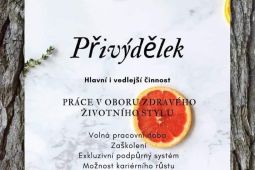 Práce z domova